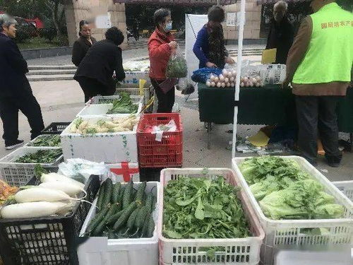 便捷与实惠并行 高品质农产品进社区，守护市民餐桌健康