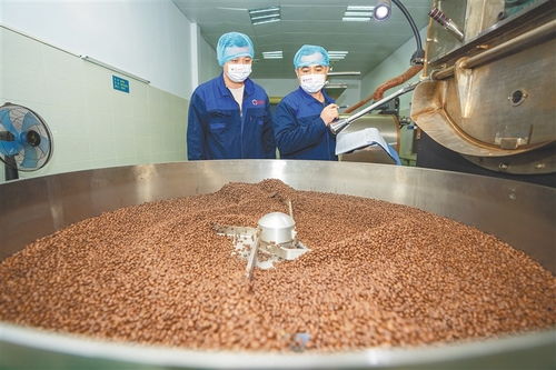 从田间到舌尖 海南农垦发力精深加工，让土特产链上“新食尚”