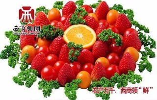 西商之声 | 农产品 以地产农产品供给为重点