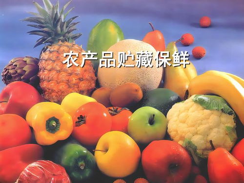 冷链通村助振兴 万村农产品预冷保鲜战略解析